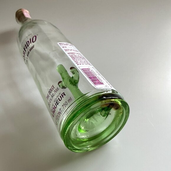 LIMITED EDITION HAND BLOWN PORFIDIO CACTUS GLASS BOTTLE - Picture 14 of 14